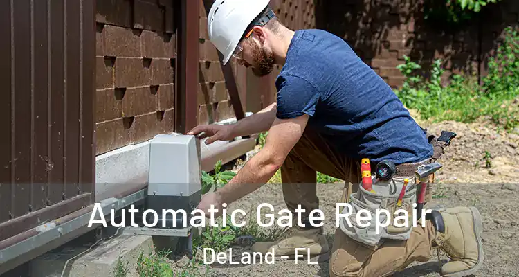  Automatic Gate Repair DeLand - FL