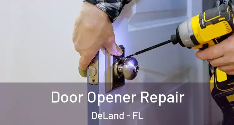  Door Opener Repair DeLand - FL