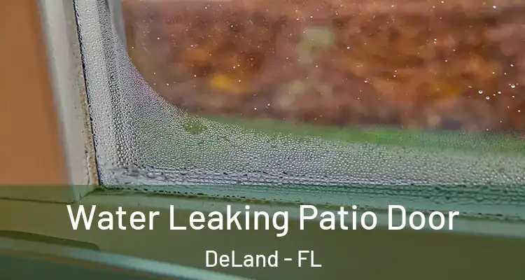  Water Leaking Patio Door DeLand - FL